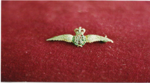 wings
